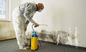 Best Mold Removal for HVAC Installations  in Taft, TX