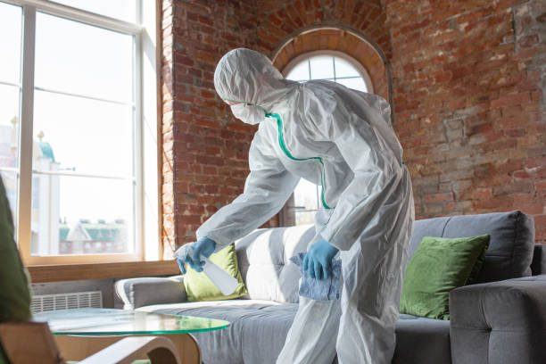 Why You Should Choose Our Mold Remediation Services in Taft, TX